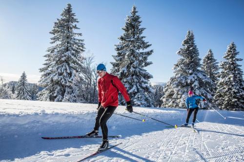 Schwarzwald Wellnesshotel Am Notschreipass