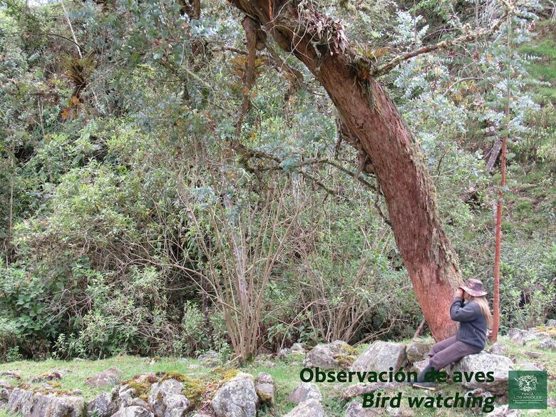 Cabana Finca Los Arboles