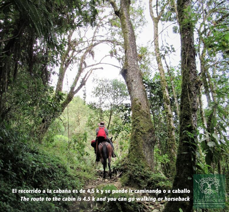 Cabana Finca Los Arboles