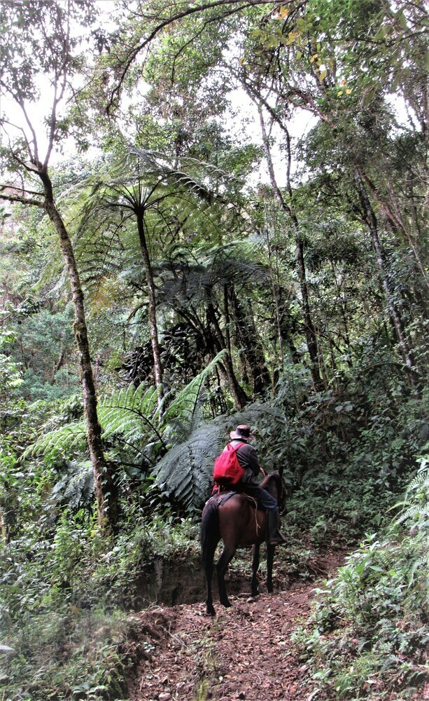 Cabana Finca Los Arboles