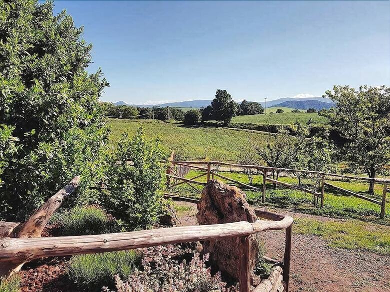 Agroturismo Agriturismo Il Riccio