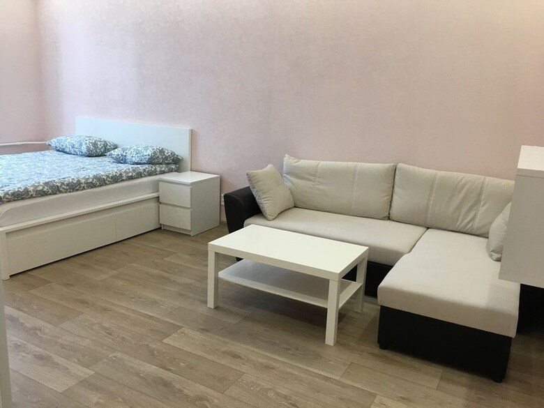Apartment Hanaka Vladimirskaya 9