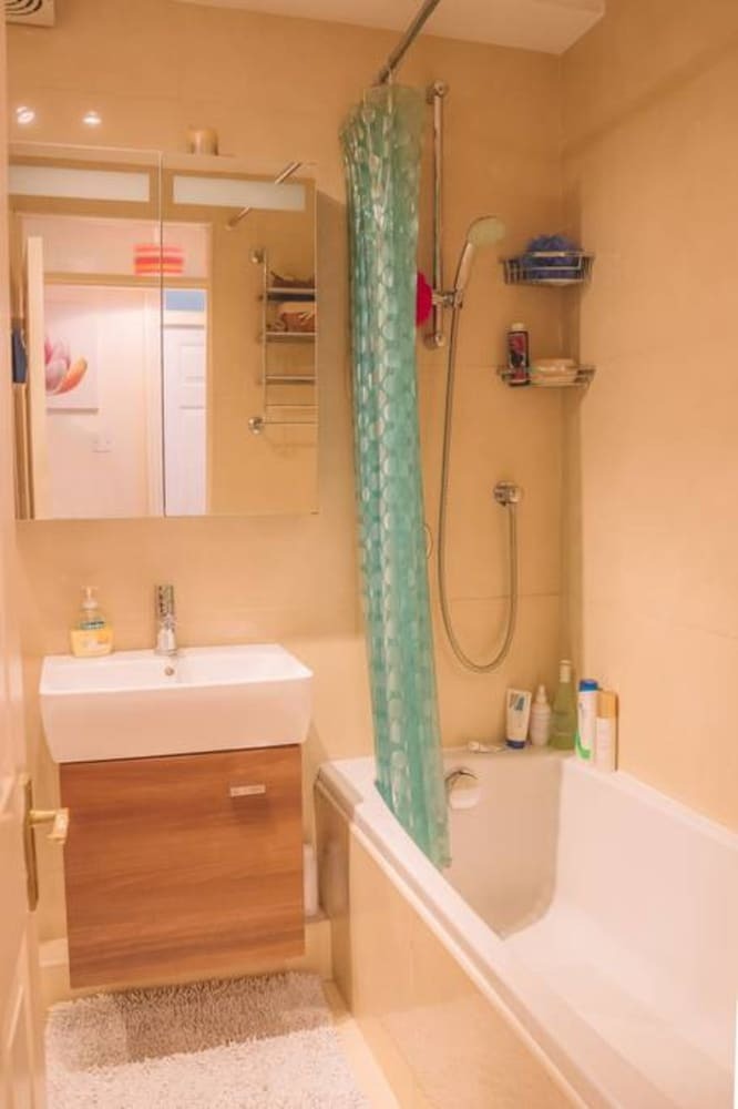 1 Bedroom Apartment Next To Dublin Castle