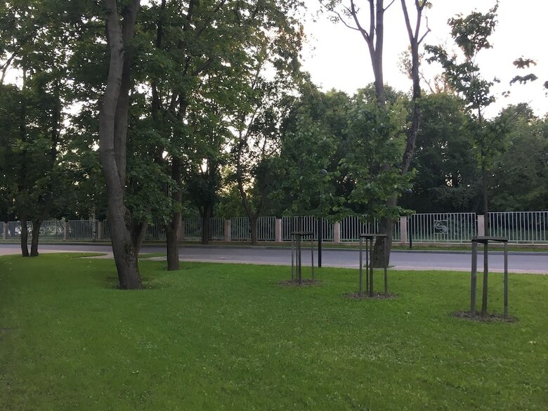 Apartamentos Smolny Park Suite