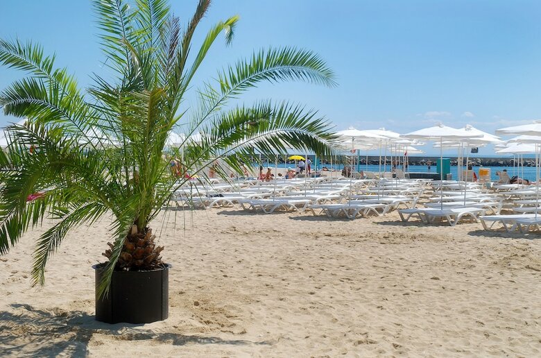 Hotel Dolphin - All Inclusive