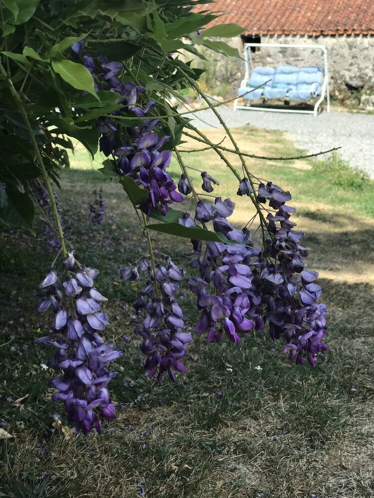 Wisteria House Bed & Breakfast