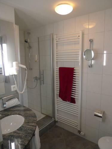 Hotel-restaurant Roter Ochsen