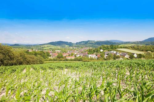 Hostal Gasthof Engel