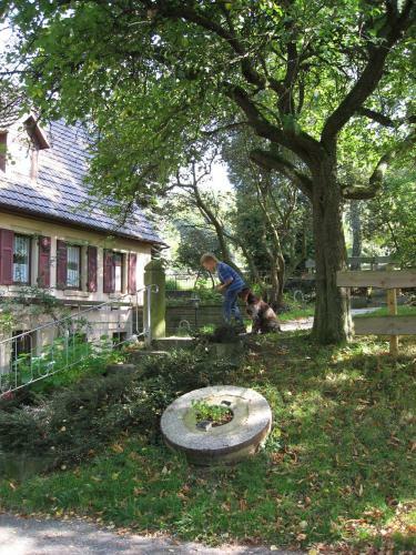 Hostal Gasthaus Zur �lm�hle