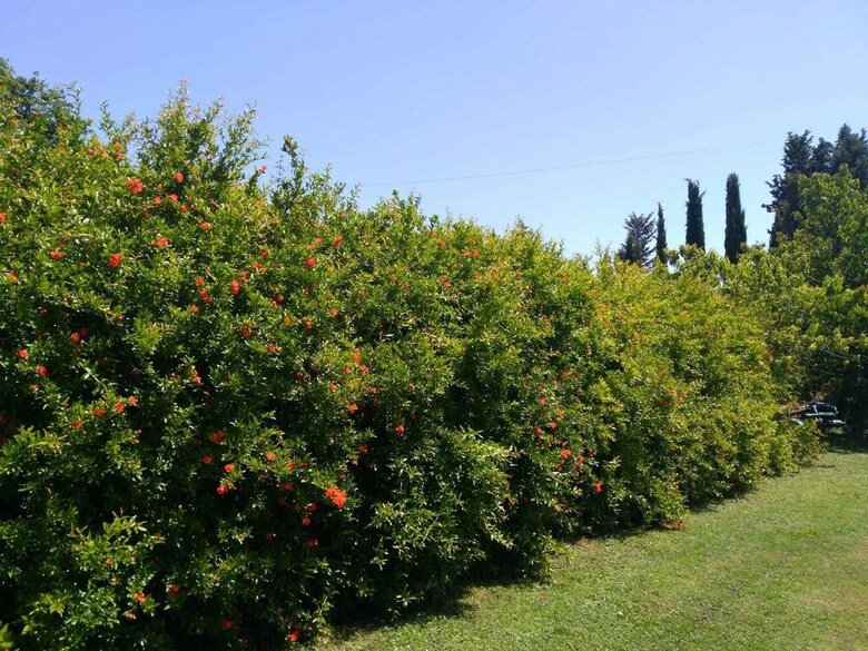 Apartamento Casa Vacanze Borgolozzi