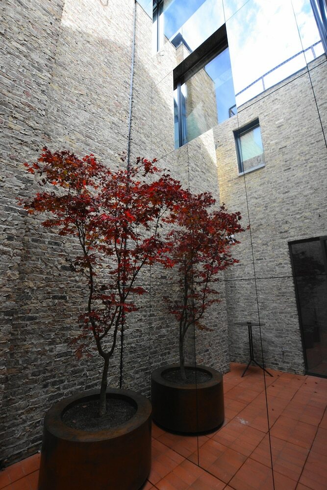 Apartamentos The Hide
