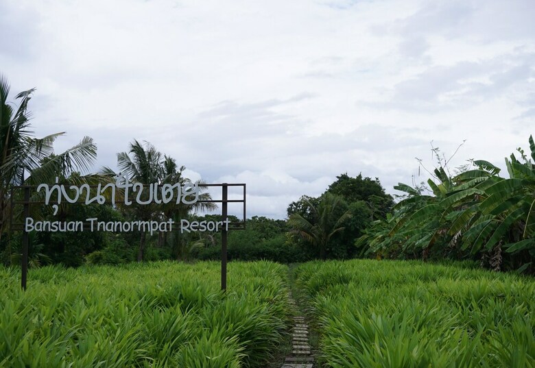 Hotel Bansuan Thanormpat Resort