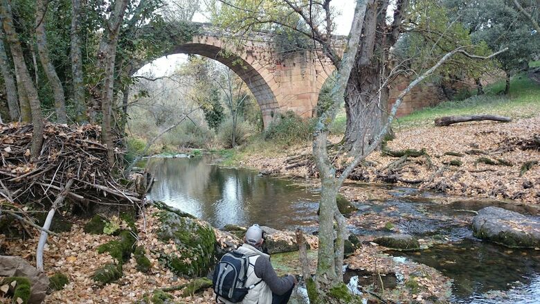 Agroturismo El Capricho Del Pir�n