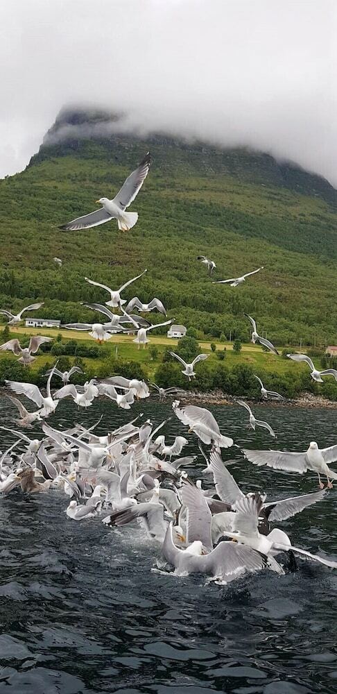 Apartamentos Fiskesenter Birkeland