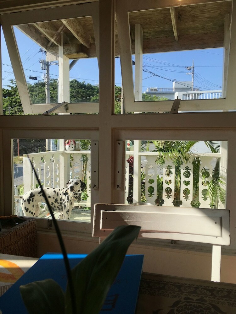 Hotel Guest House One One One