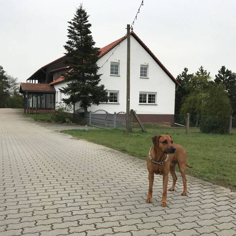 Hotel Am Wald