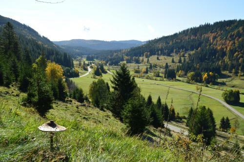 Hotel Garni Silberfelsen