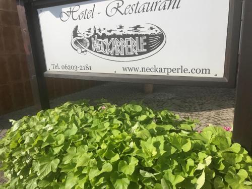 Hostal Hotel-restaurant Neckarperle