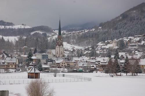 Parkhotel Sch�nau