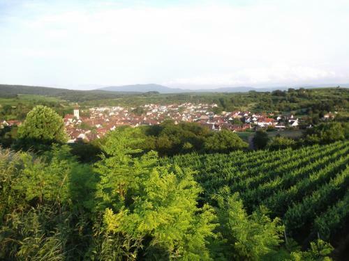 Apartamento Ferienwohnung Feist
