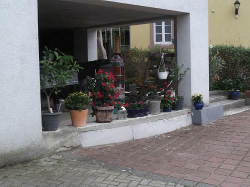Apartamento Ferienwohnung Feist