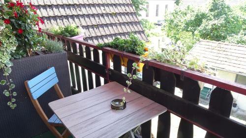 Hostal Pension Zur Sonne Wittenweier