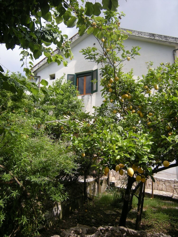 Bed & Breakfast Vigna Longa