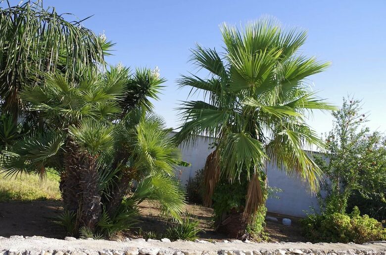 Bed & Breakfast Villa Arneide