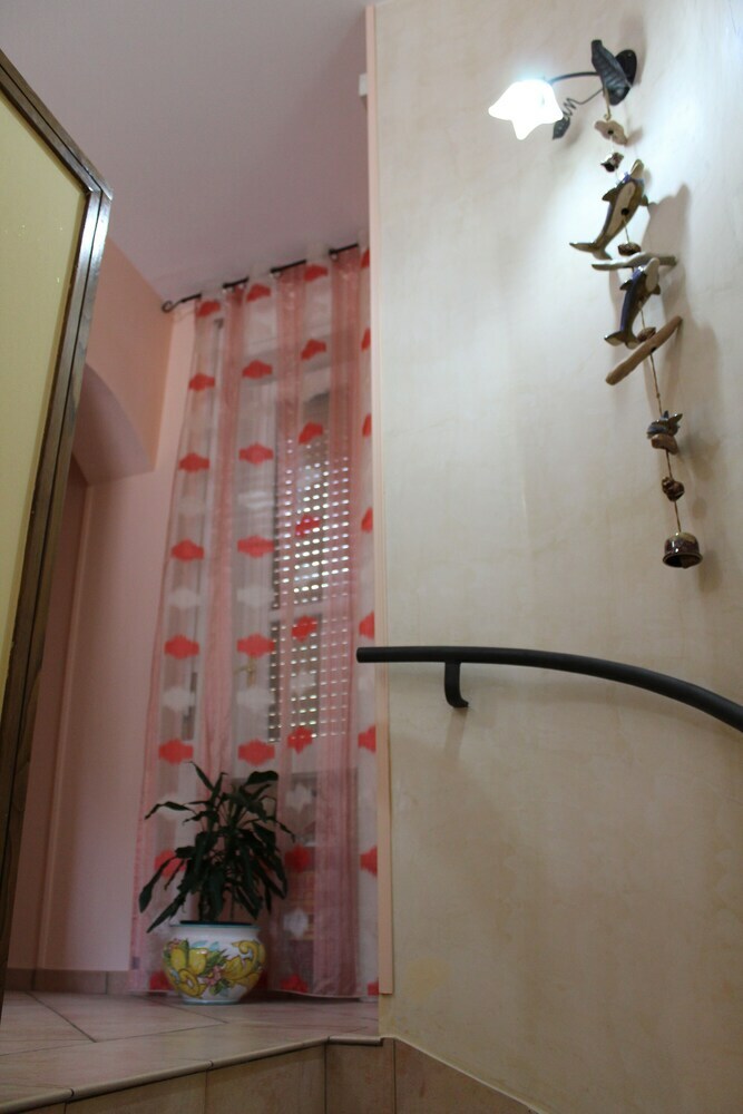B&B Reginella