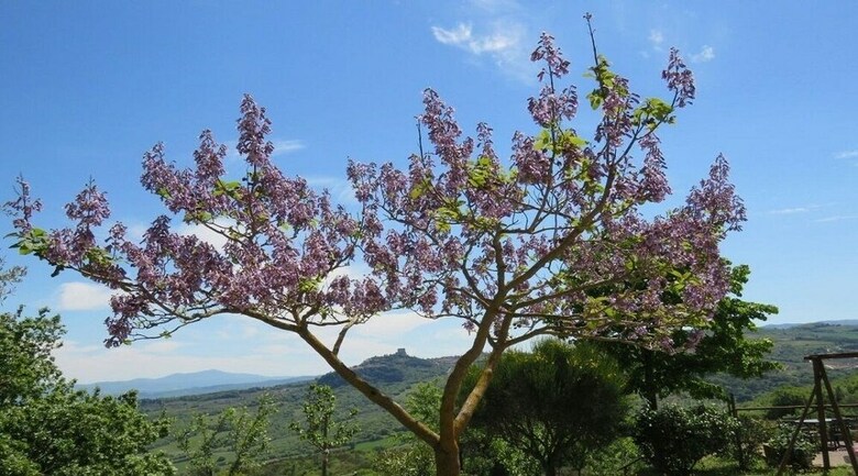 Agroturismo Agriturismo Il Poderuccio