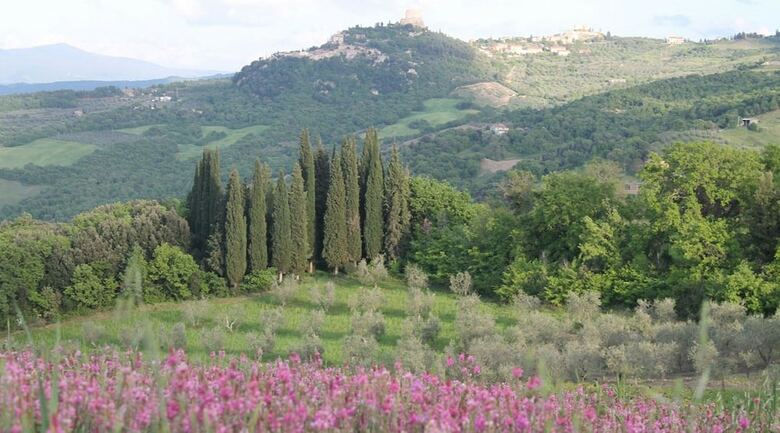 Agroturismo Agriturismo Il Poderuccio