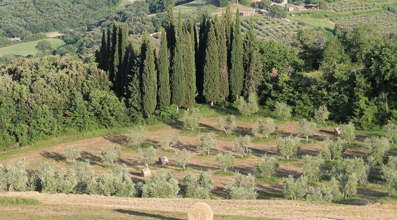 Agroturismo Agriturismo Il Poderuccio