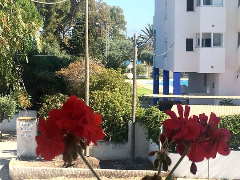 Hostal El Artista de Para�so