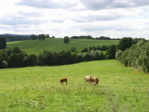 Hotel Und Restaurant K�hlerh�tte - F�rstenbrunn
