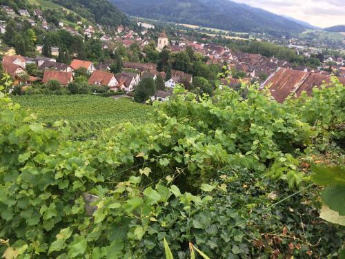 Hotel Gasthaus Zum Hirschen