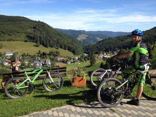 Hotel Gasthaus Zum Hirschen