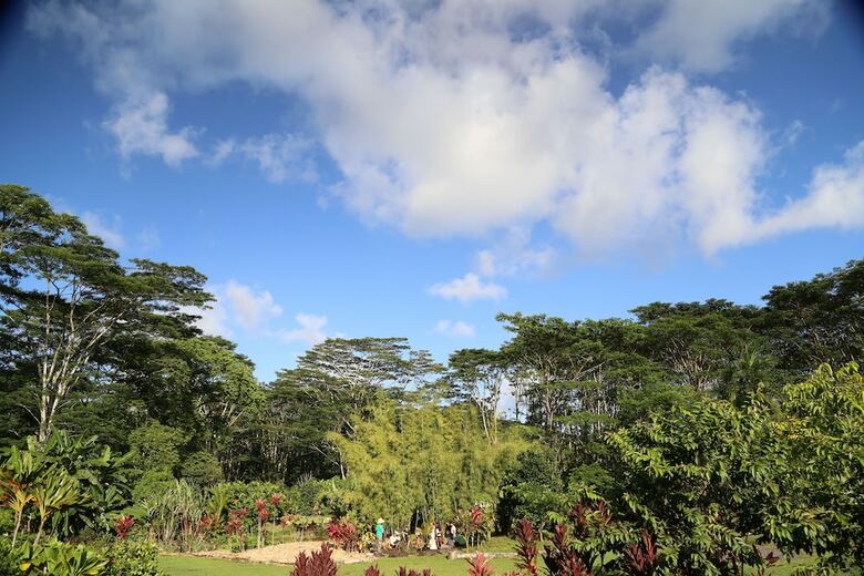 Bed & Breakfast Hawaiian Sanctuary