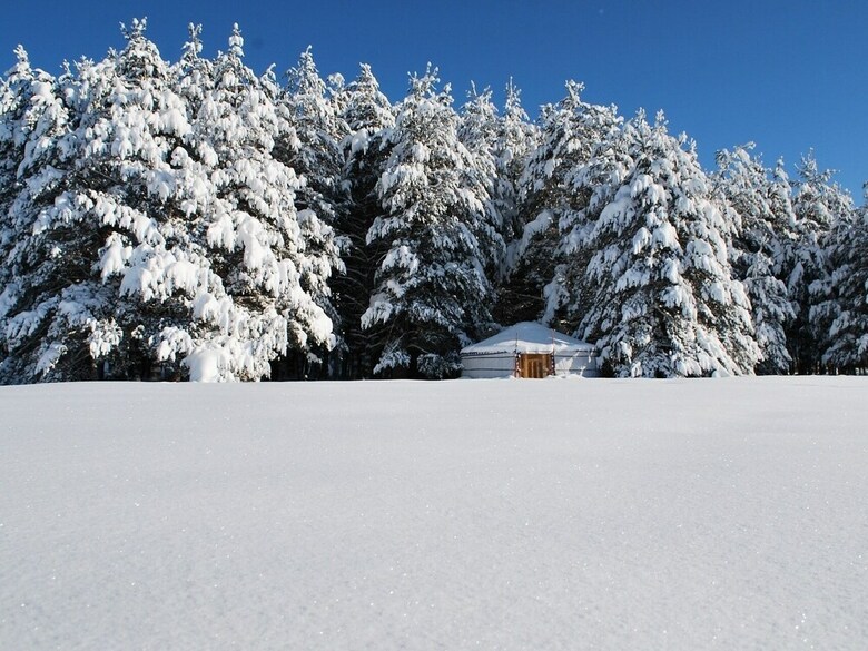 Bed & Breakfast Le Bois Fa�