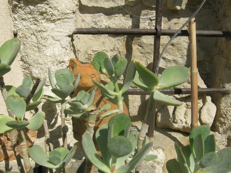 Bed & Breakfast Les Jardins de La Livr�e