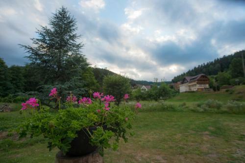 Hotel Enz Residenz