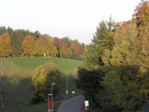 Hostal Pension Haus Hubertus