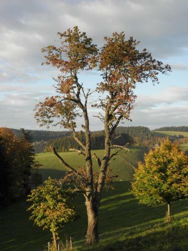 Hostal Pension Haus Hubertus