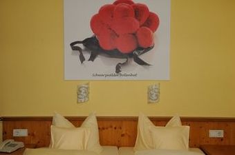 Hotel Renchtalblick