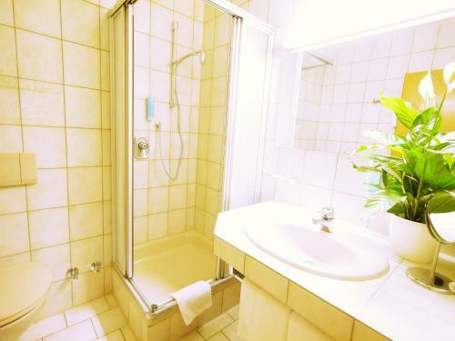 Hotel Pflug