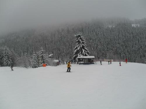 Haus Blick Am Edersee