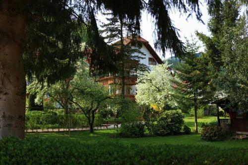 Hostal Hotel-pension Caf� Schacher