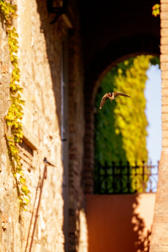Agroturismo Relais Sant'elena