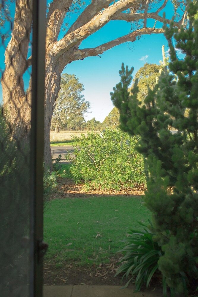 The Gums