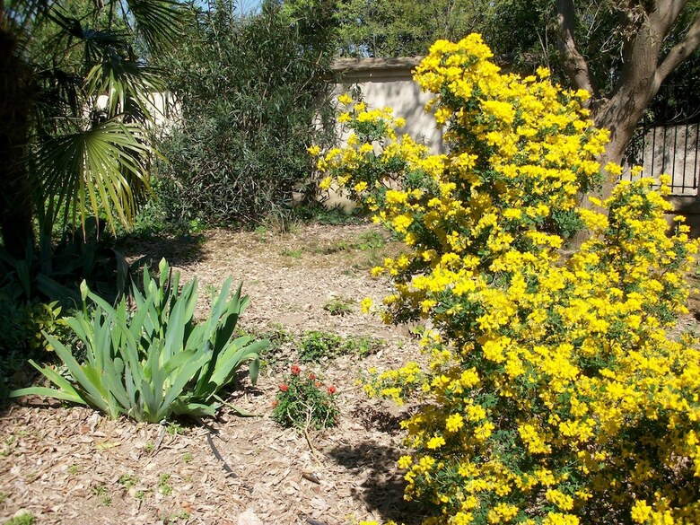 Bed & Breakfast Commanderie Templi�re de Launac-le-vieux