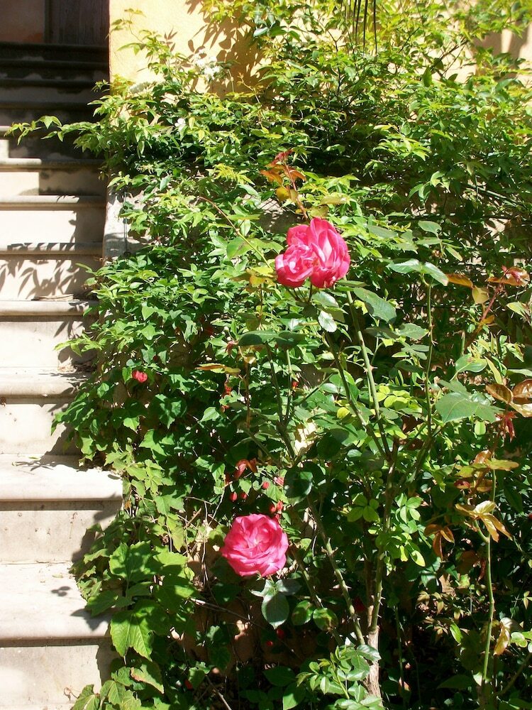 Bed & Breakfast Commanderie Templi�re de Launac-le-vieux